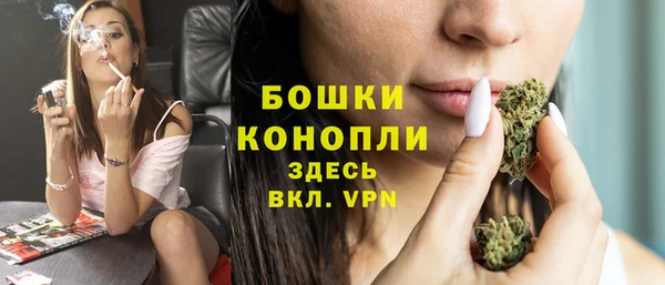 прущие грибы Беломорск