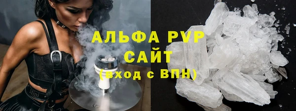 трава Сатка
