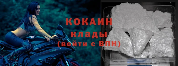PSILOCYBIN Белокуриха