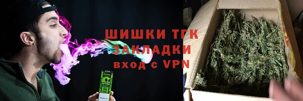 прущие грибы Беломорск