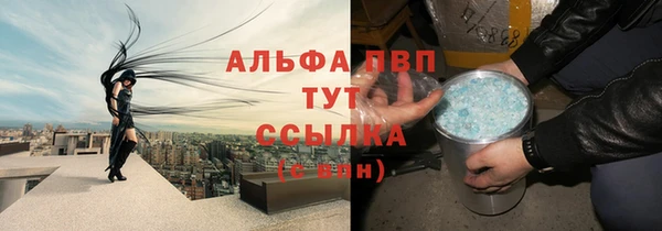 PSILOCYBIN Белокуриха