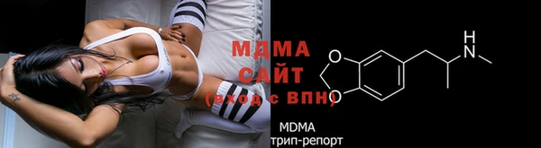 PSILOCYBIN Белокуриха