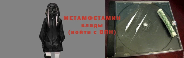 прущие грибы Беломорск