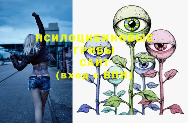 ECSTASY Белоозёрский