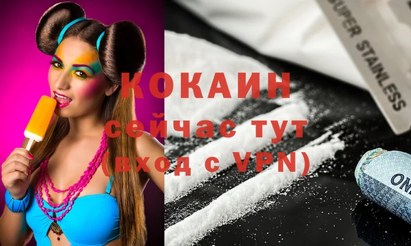 прущие грибы Беломорск