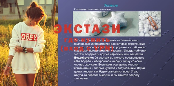 прущие грибы Беломорск