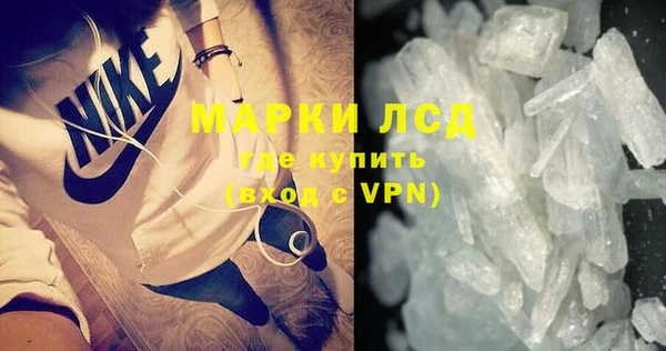 прущие грибы Беломорск