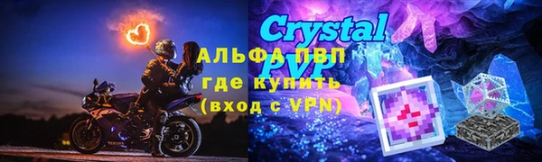 PSILOCYBIN Белокуриха